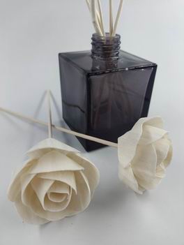 Sola flower